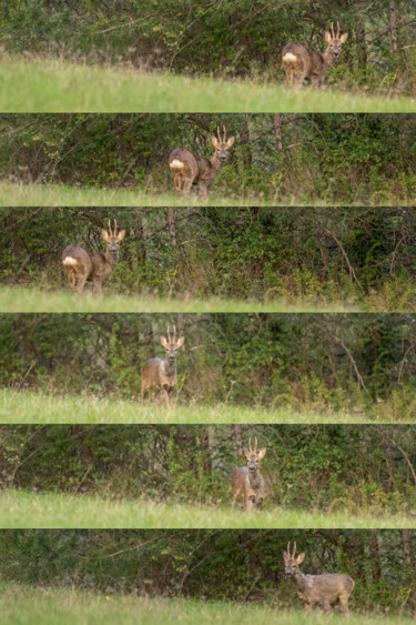 Rencontre au sommet