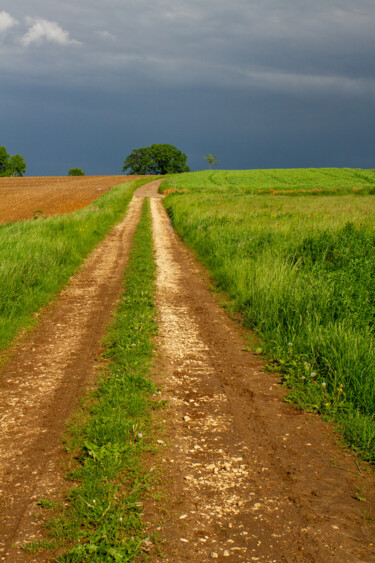 Chemin